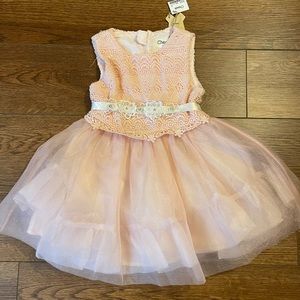 Soft pink tulle princess dress w/ lace bodice flower girl or birthday